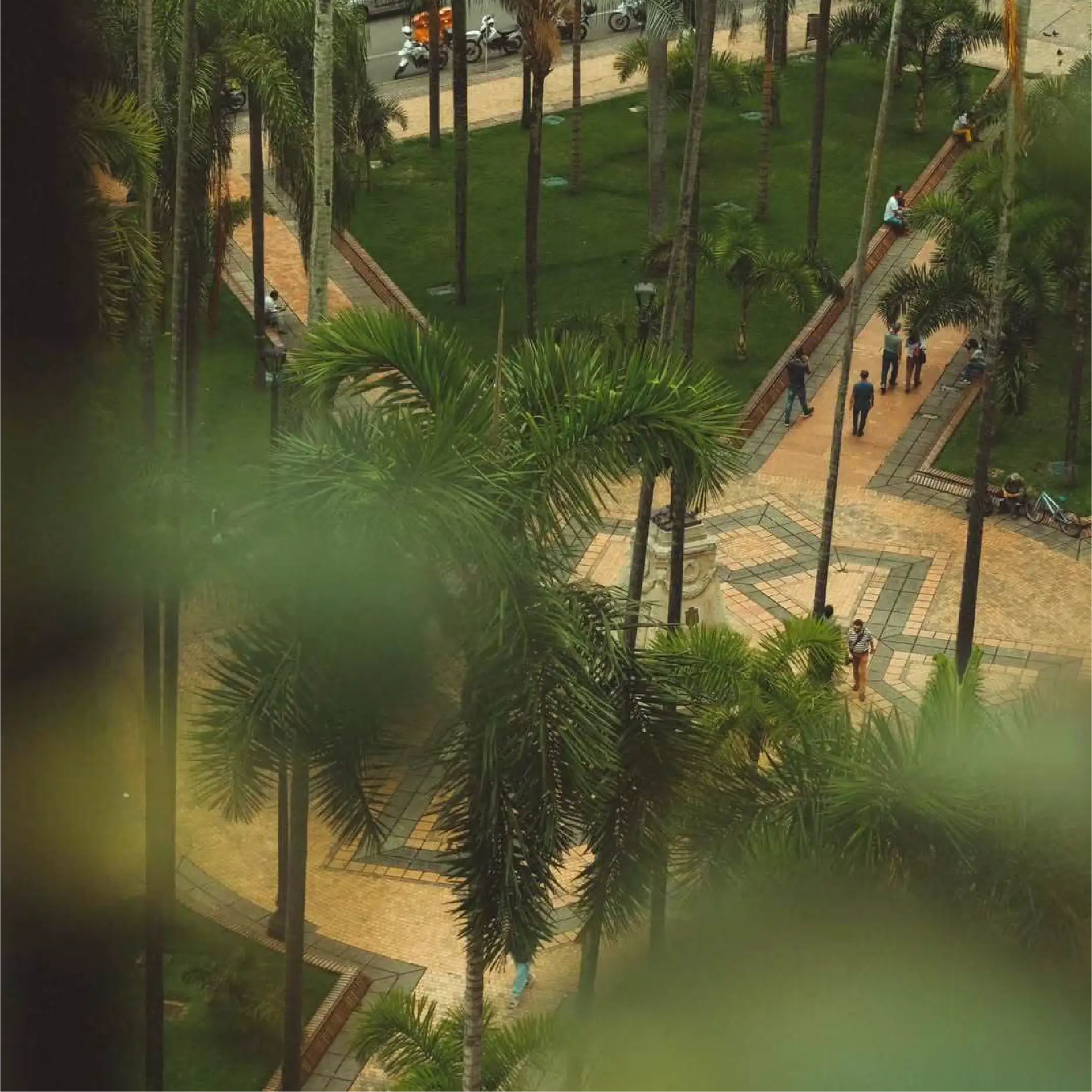 Cali en el Centro